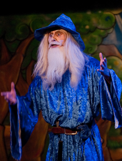 Spectacle Arbre de Noel - Merlin n�1