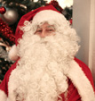 Animation Arbre de Noel - Pere Noel n�2012