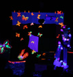 Spectacle Arbre de Noel - Clown Roussia Lumi�re Noire