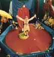 Spectacle Arbre de Noel - Clown Wolfgang n�1