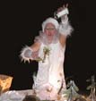 Spectacle Arbre de Noel - Legende du sapin n�3