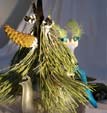 Spectacle Arbre de Noel - Legende du sapin n�1