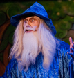 Spectacle Arbre de Noel - Merlin n�1