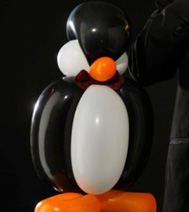 Ballooning grand modèle : exemple du pingouin en ballons